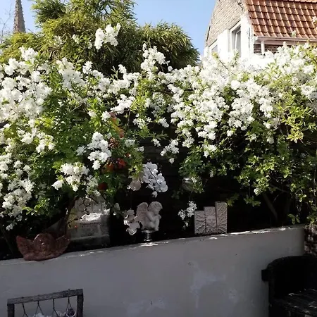 Maison Cosy Et Zen Au Chemin Du Bonheur Hébergement de vacances *